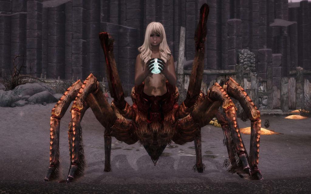 Arachne
