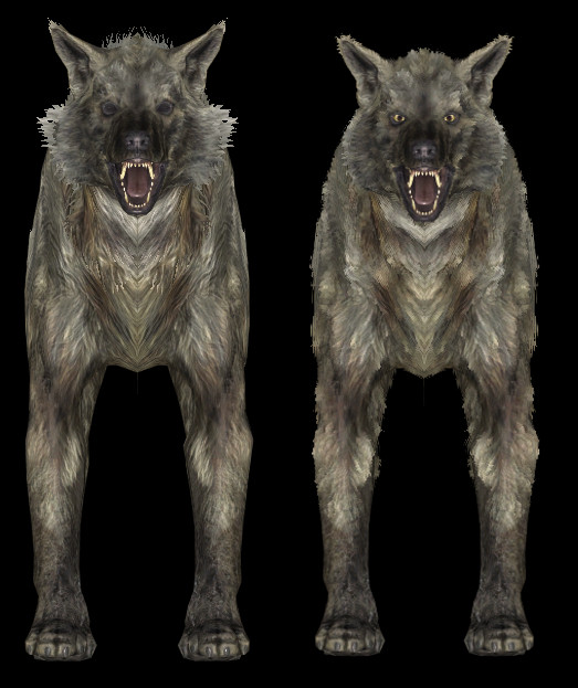 CHWolfFinShell01