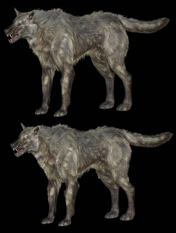 CHWolfFinShell03