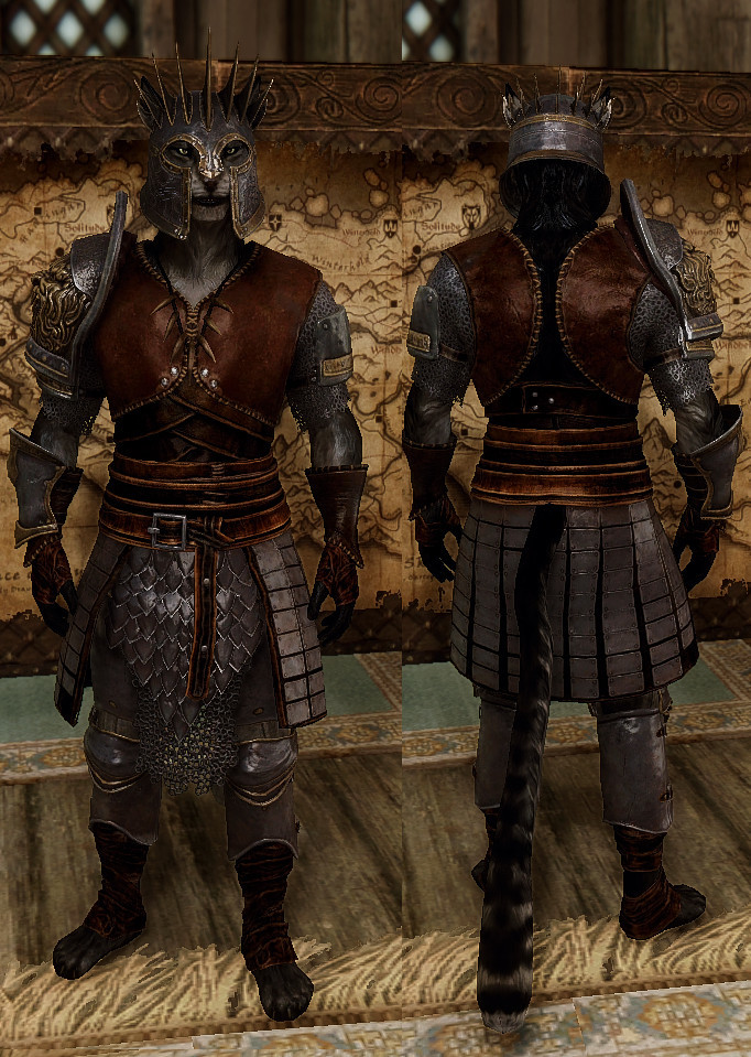 RevKhajiitChampion_231110