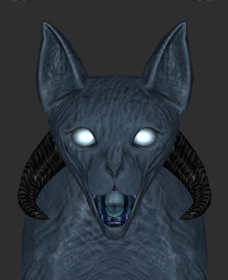 RevMolagCatFace_231030